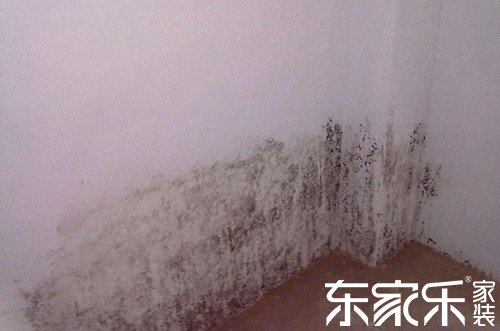 墻面發霉是甚么緣由致使的?